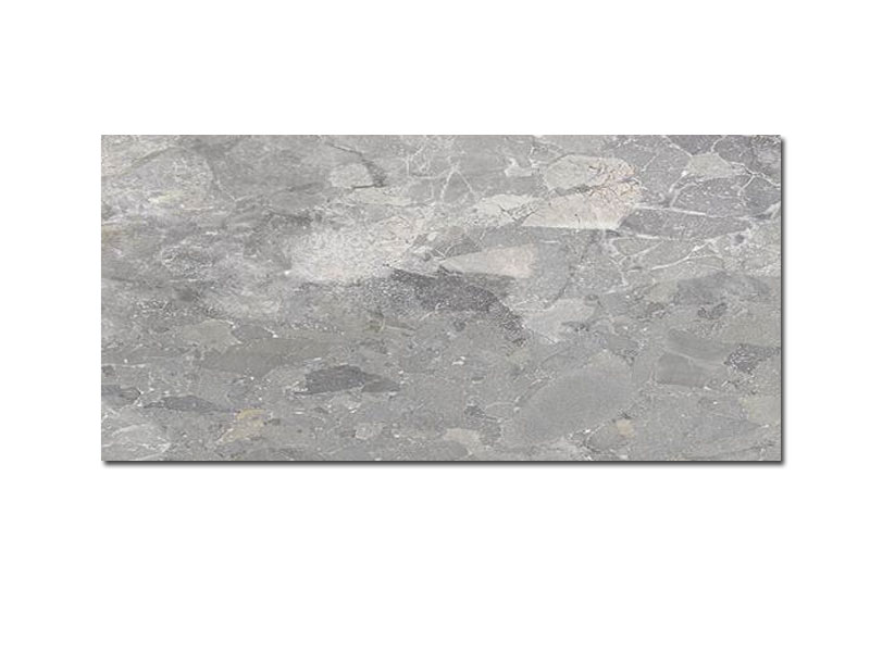ARGOS GREY 60X120